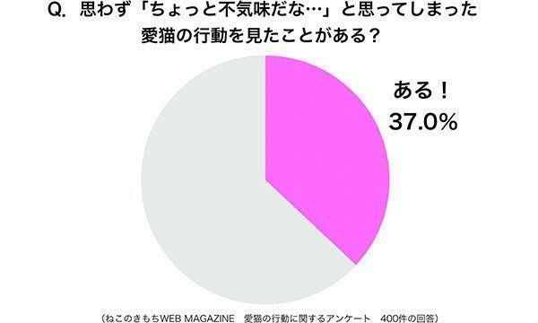 グラフ:思わず「ちょっと不気味だな…」と思ってしまった愛猫の行動を見たことがある?