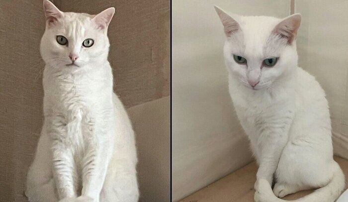 10才になった心ちゃん、空ちゃん