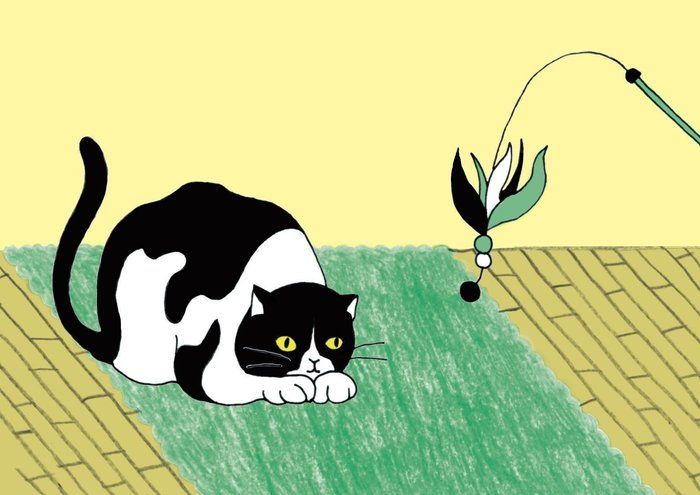 イラスト/齊藤マミ