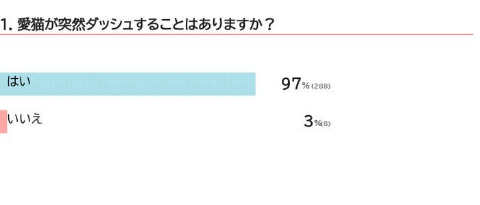 愛猫が突然ダッシュすることはある?