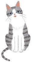 イラスト/片山智恵