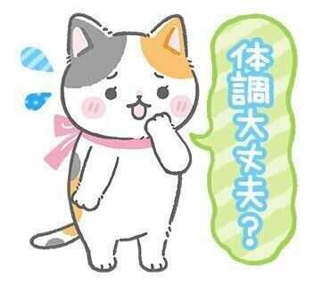 ねこたつ・みたらし