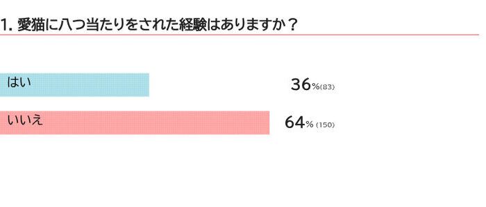 愛猫に八つ当たりされたことはある?