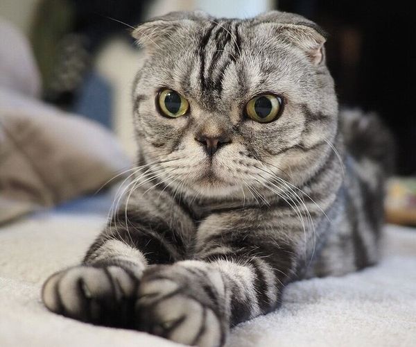 Okras7mwl63fum Okras7mwl63fum