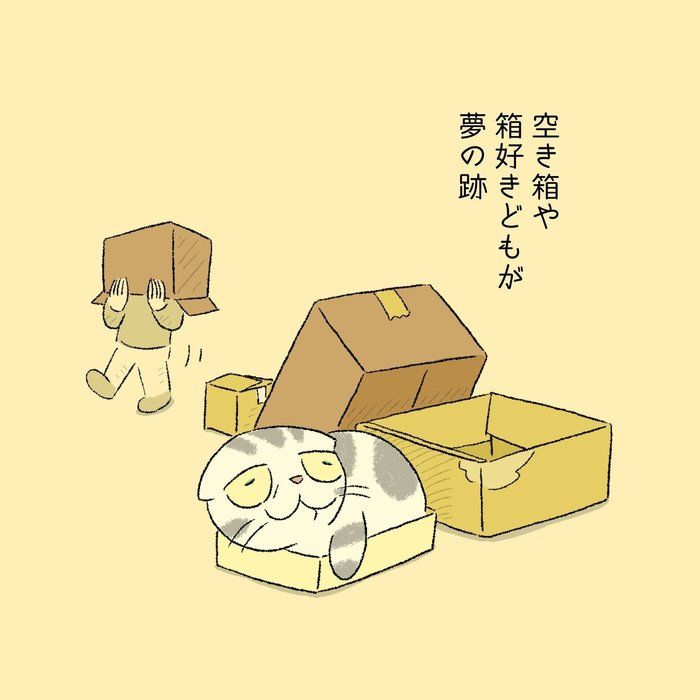 @tacos_cat