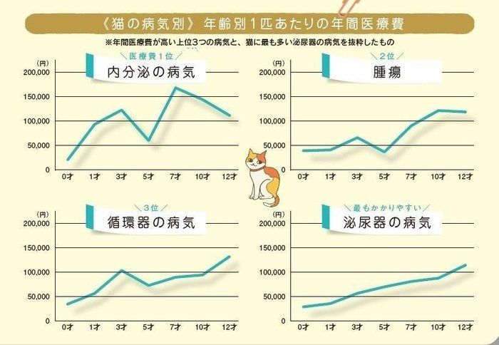 画像/『ねこのきもち』2017年6月号「イマドキ猫の健康事情」