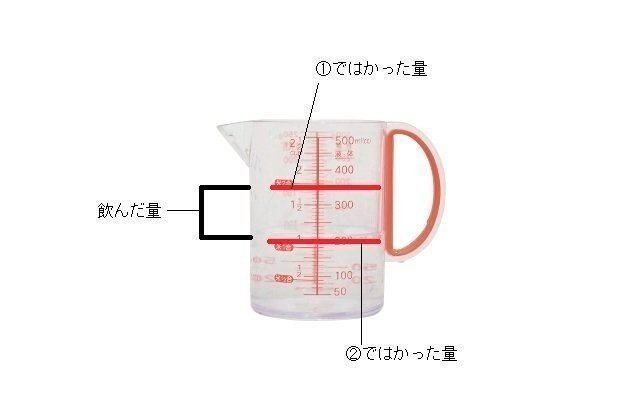 撮影/中川文作