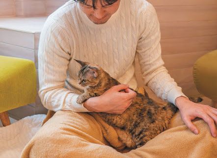 ひざのうえに座る猫