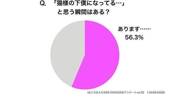 猫様の下僕になっていると思う瞬間