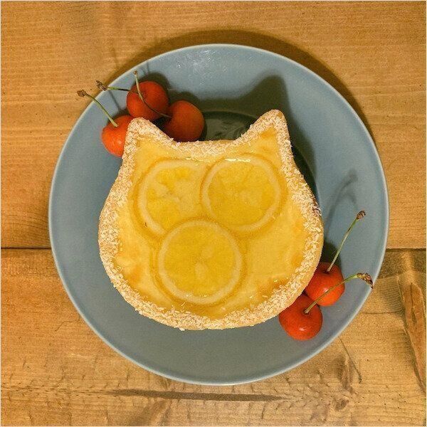 「ねこねこチーズケーキ〜瀬戸内レモン〜」