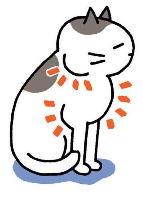 「猫エイズウイルス感染症(FIV)」とは