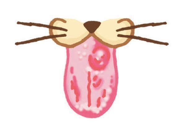 健康/異変のある猫の舌