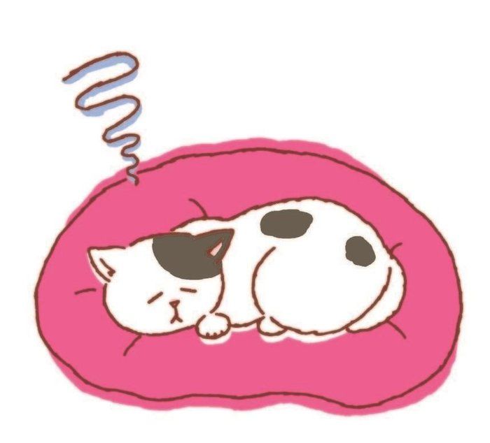イラスト/フジサワミカ