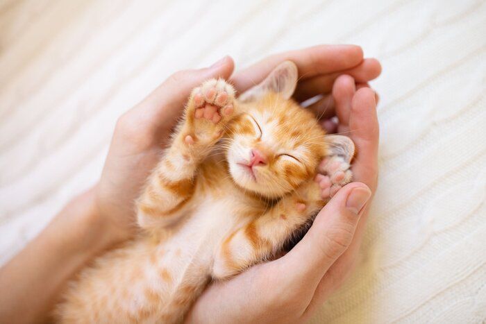 画像/iStock、Getty Images Plus