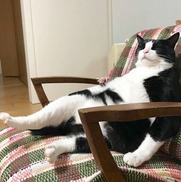 ソファでくつろぐキキ様