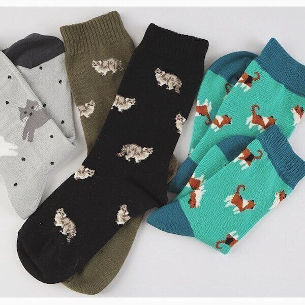 Animal series マヌルネコの靴下