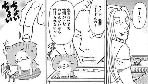 『れんコテ』