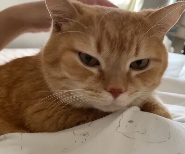 Okras7mwl63fum Okras7mwl63fum