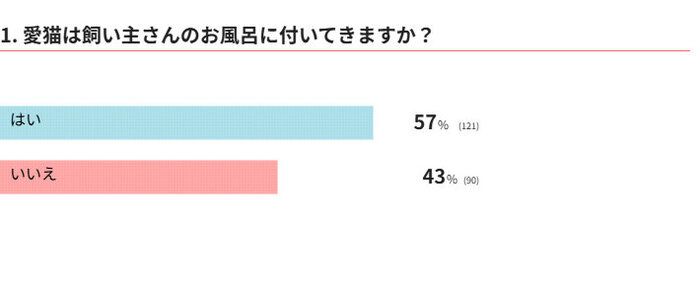 愛猫は飼い主さんのお風呂に付いてきますか?