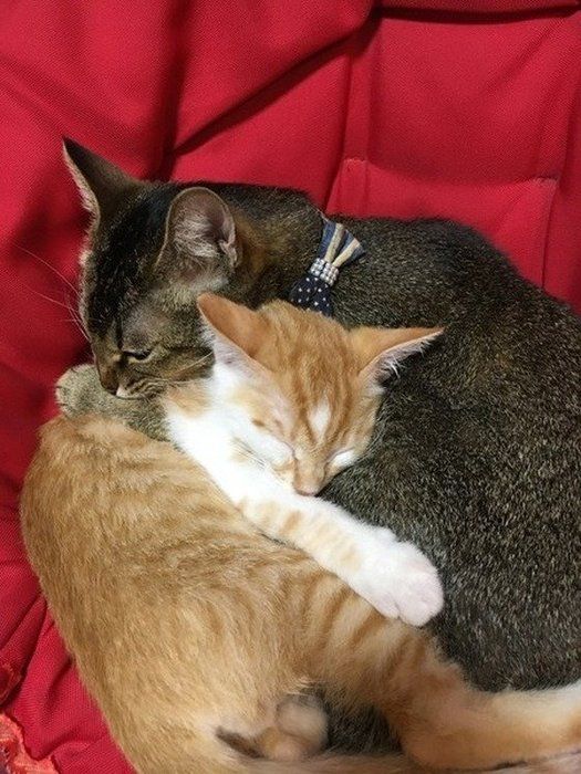 これが一番