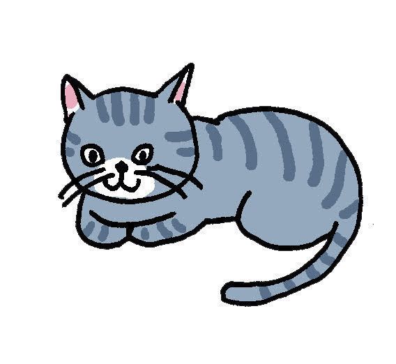 イラスト/中山三恵子