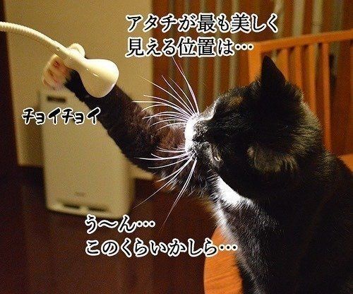 なんという微調整……!