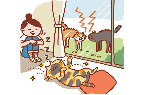眠る猫