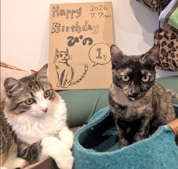 ぴのちゃん1才の記念日