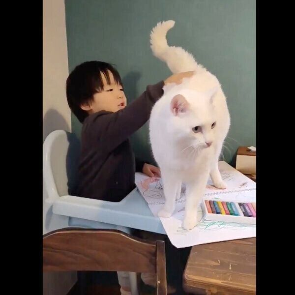 撫でてもらえたブランくん