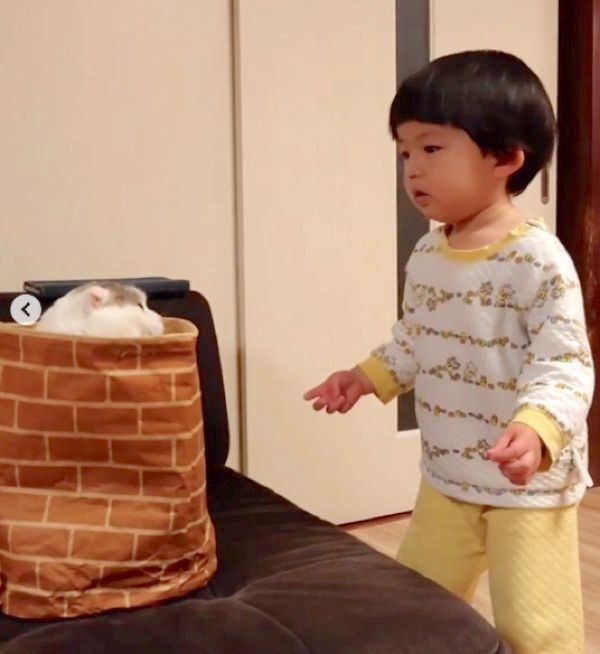 袋に入るライくんと追い出そうとする次男くん