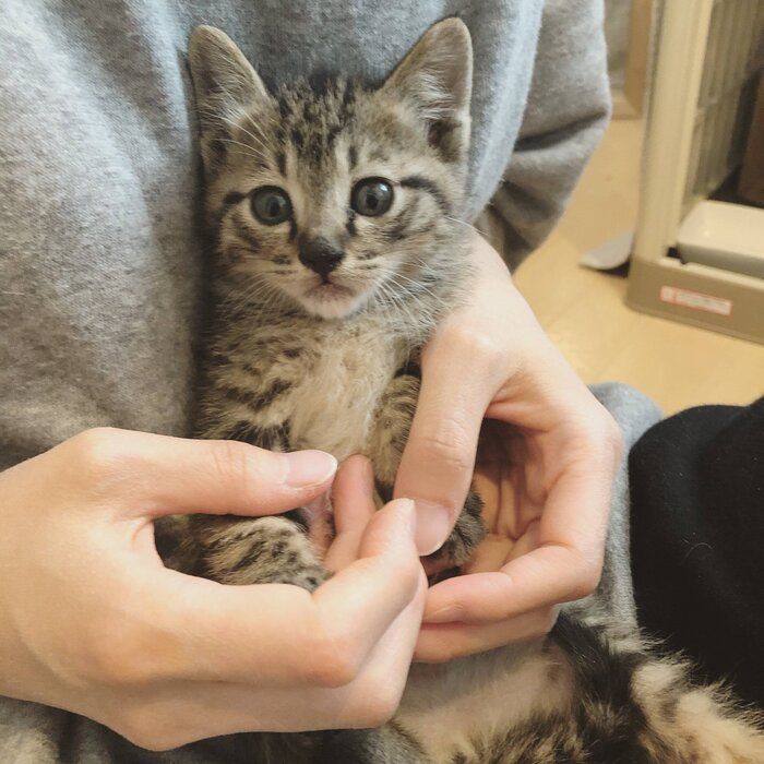 撮影/tomo