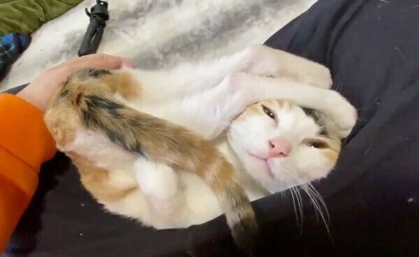 とんでもない体勢で甘える翡文くん