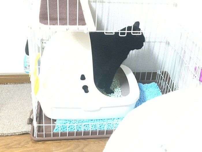 読者提供