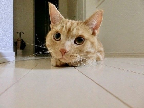狙ってる?