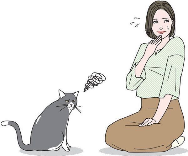 飼い主さんと猫