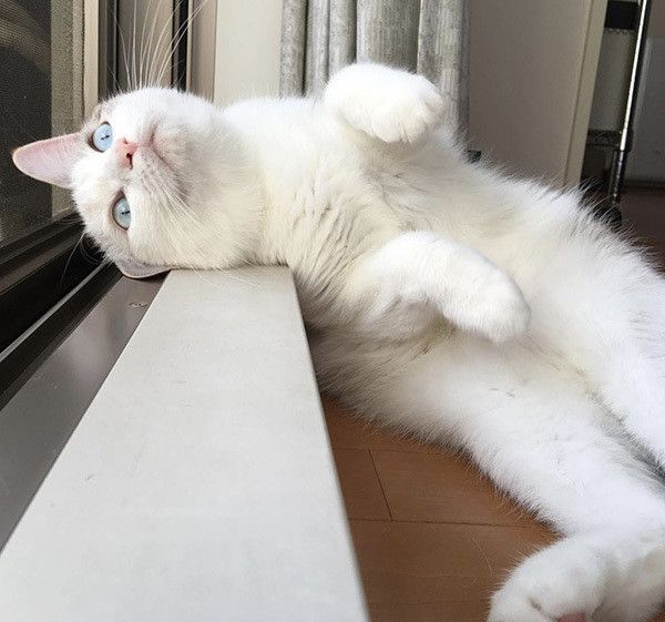 あおいちゃん