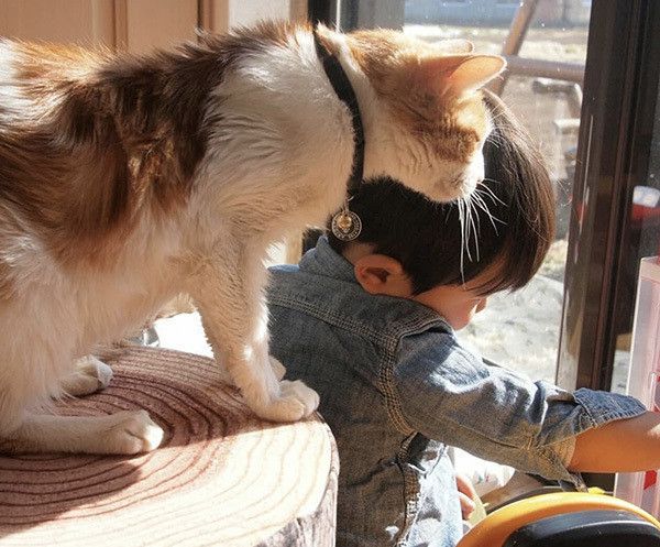猫と弟くん