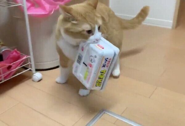 ペヤング泥棒のさんてくん