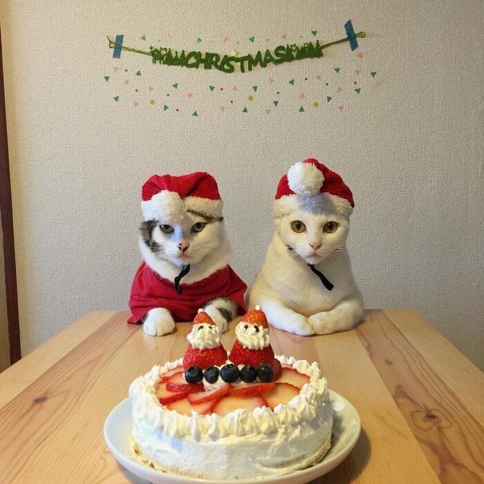 クリスマス
