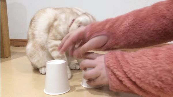 おやつどこ?