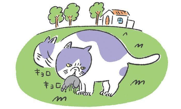 イラスト/山中正大
