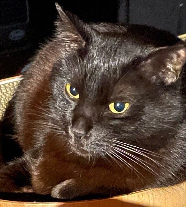 7才になった現在の水無月くん