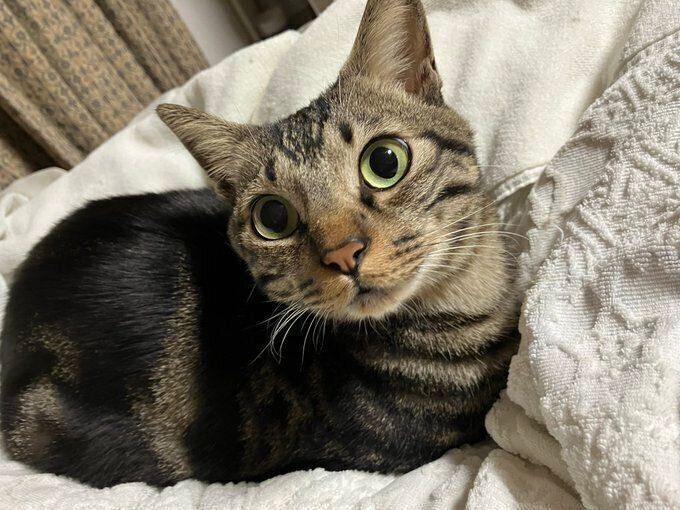 リラックスした様子のボンくん