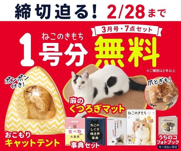 Okras7mwl63fum Okras7mwl63fum