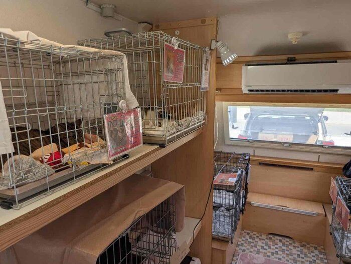 車内は冷暖房完備で、猫の脱走防止のため二重扉になっている