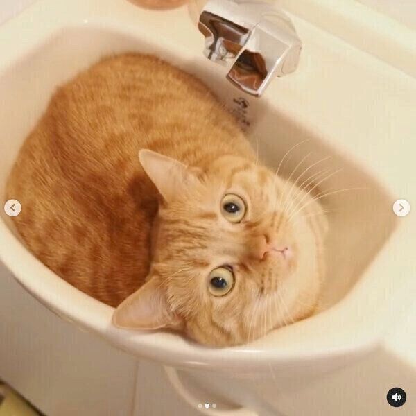 resized_7a0e121b-821c-449c-