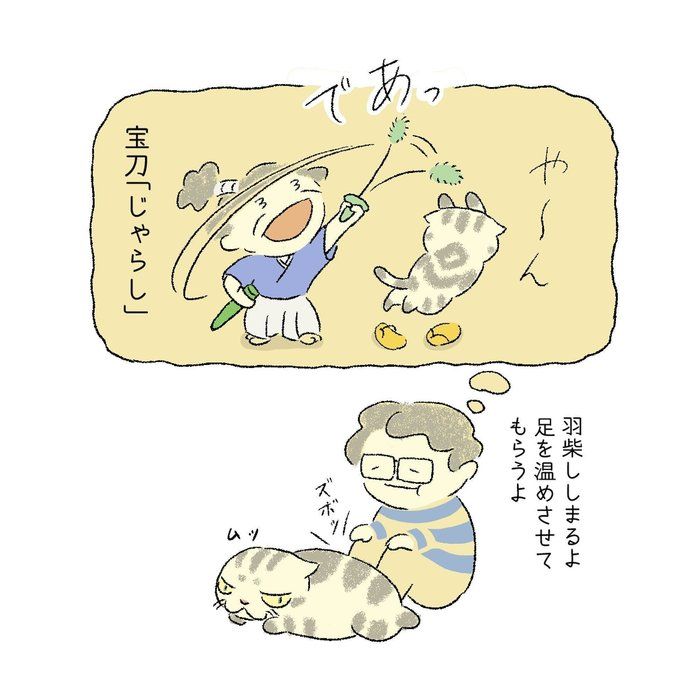 @tacos_cat