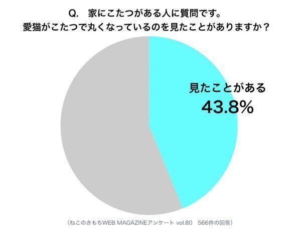 調査:愛猫がこたつで丸くなっているのを見たことがあるか