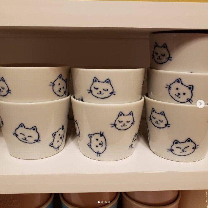 猫柄の食器