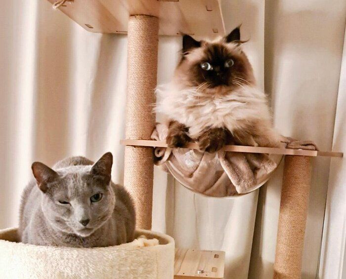 ハルくんとココくん。